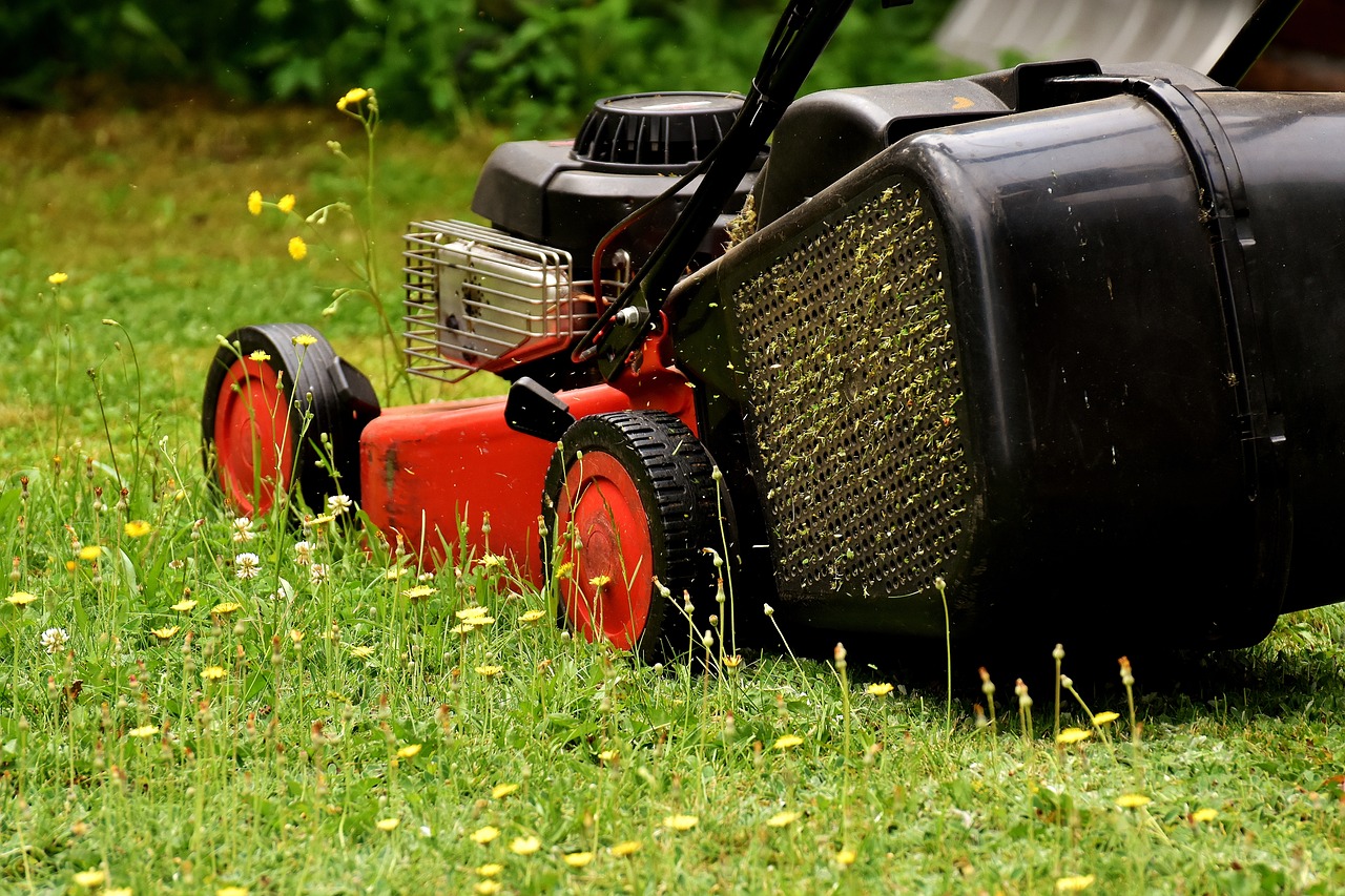 lawn mower, mow, cut the lawn-2430725.jpg